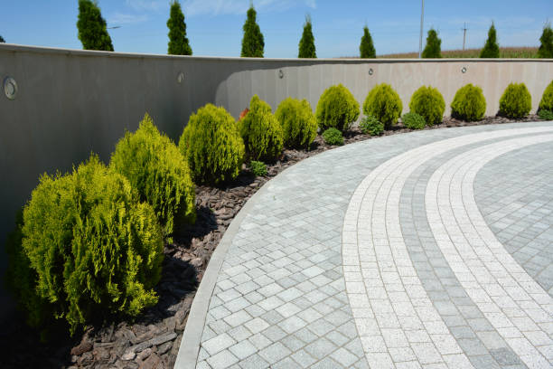 Best Driveway Resurfacing Pavers  in Barry, IL